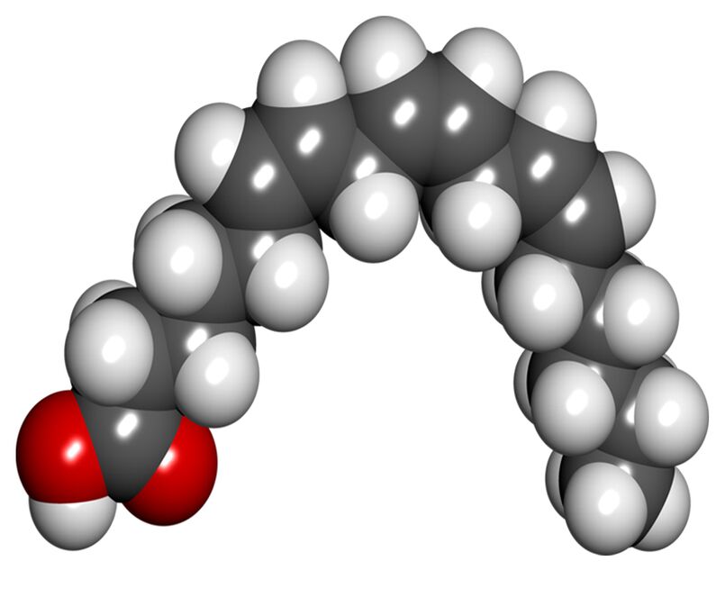 Acid gamma-linolenic în Diaform Plus